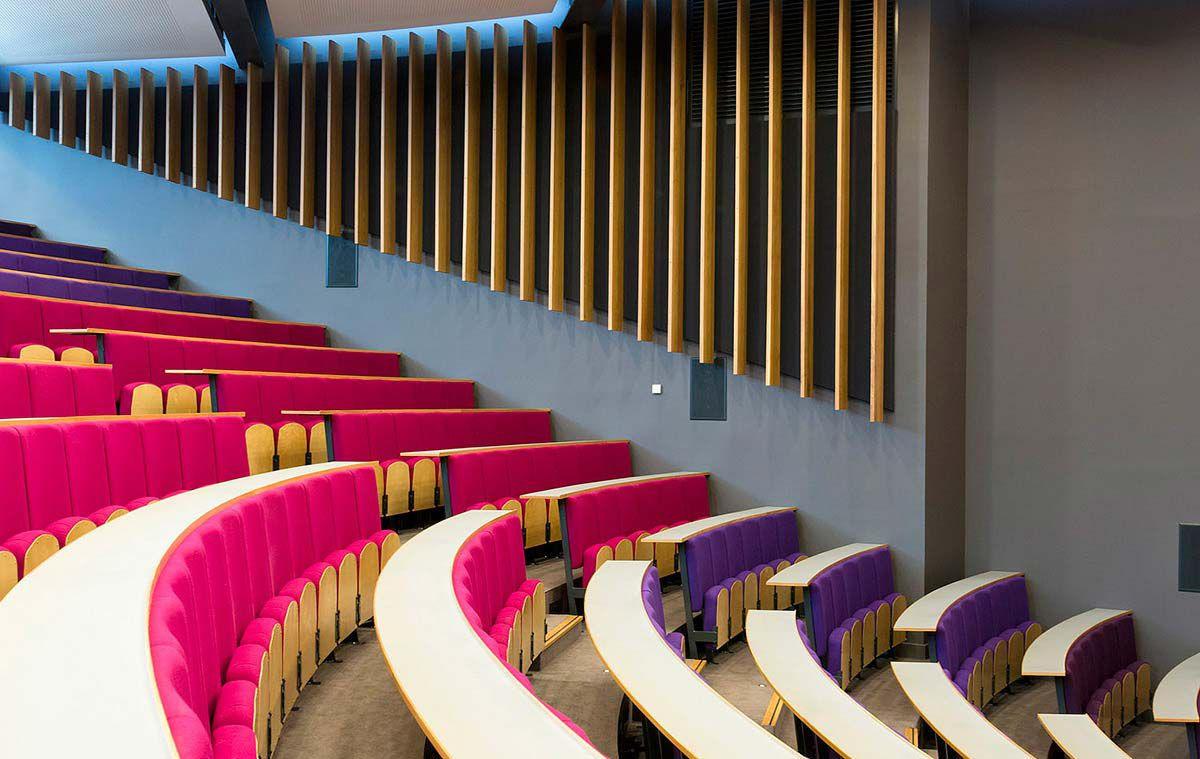 Auditorium interior showing exposed timber roof beams and slatted structural detailing above tiered seating